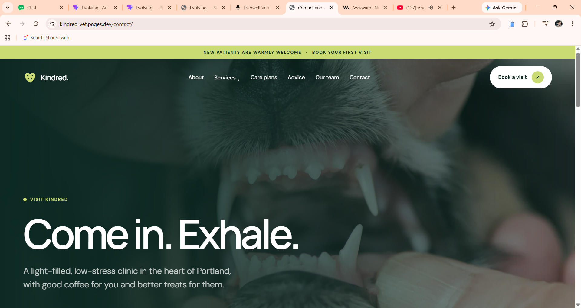 Kindred Veterinary website template screenshot